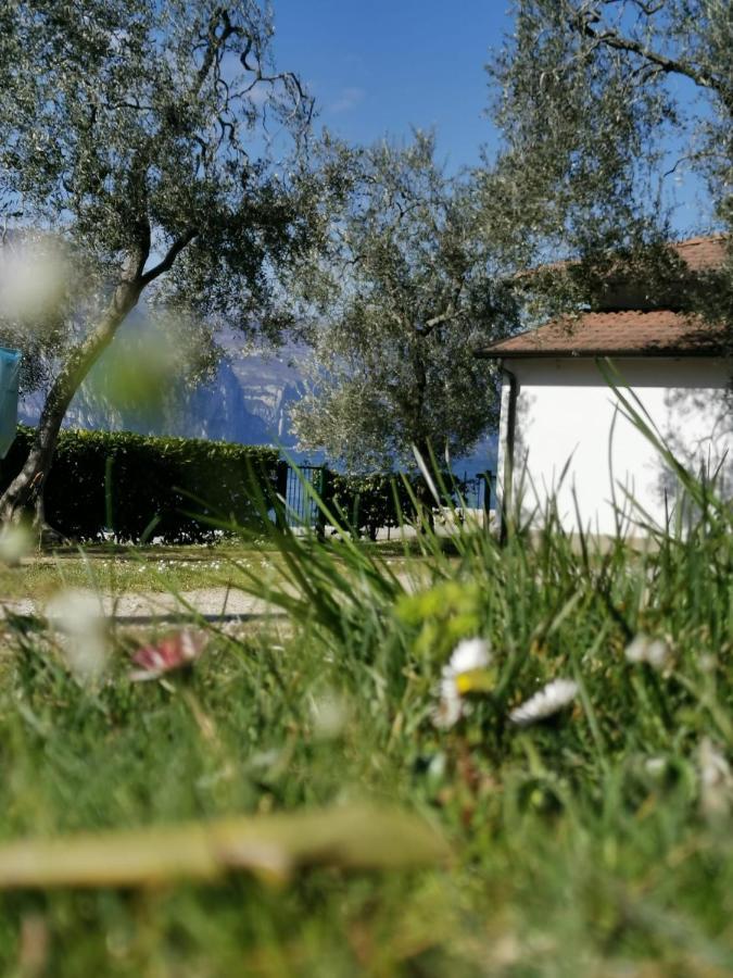Camping Baldo ブレンゾーネ エクステリア 写真